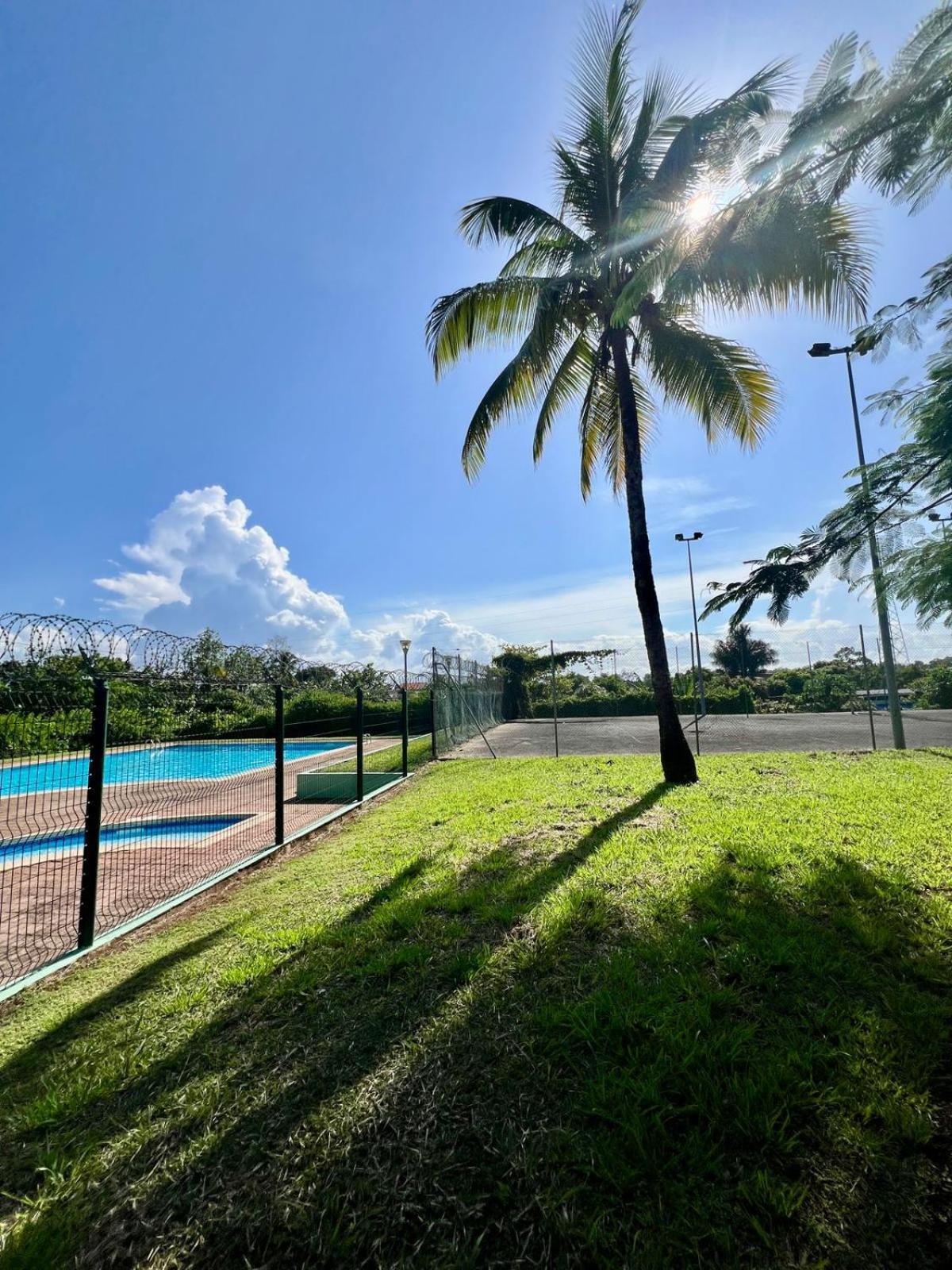 Le Privilège appartement standing, piscine, terrasse, jardin, parking Cayenne Extérieur photo